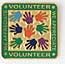 volunteerX
