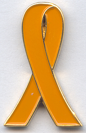pin13bg