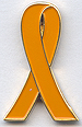 pin13sm