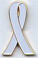 pin1sm